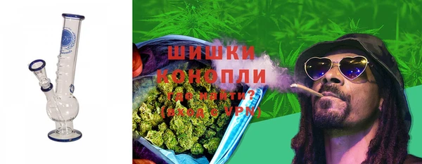 дживик Гусиноозёрск