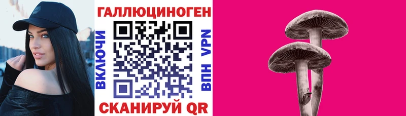 Купить закладки  Тайшет  Галлюциногенные грибы MAGIC MUSHROOMS 